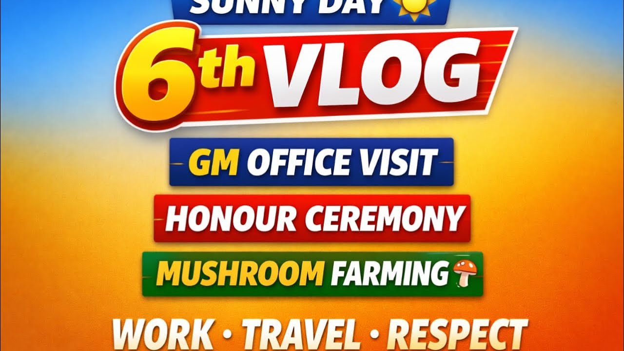 📹 6th Vlog | A Sunny Day, Work Journey & Mushroom Farming