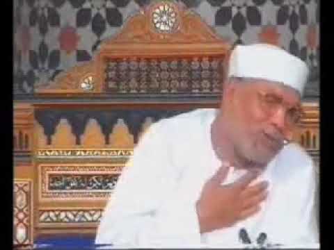 م ر ج ال ب ح ر ي ن ي ل ت ق ي ان الشيخ الشعراوي