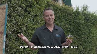 Understanding Rebar Sizes Made Simple 🔩