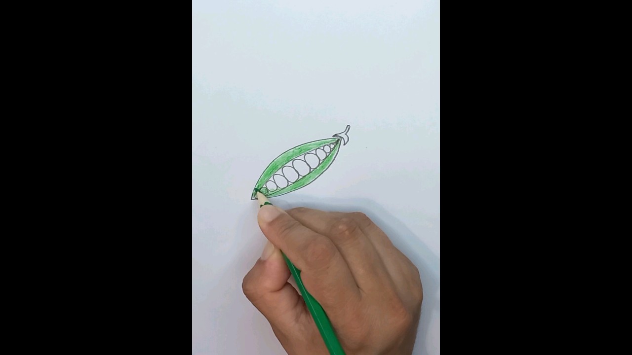 Pea Drawing!!как Нарисовать горох 