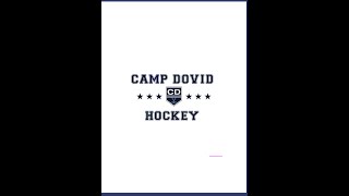 Camp Dovid 2025 recap video