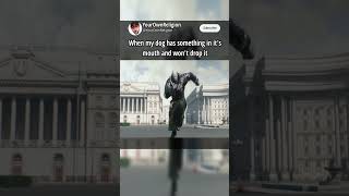 Every Dog Owner Knows - Tyrant Chasing Licker