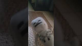 Endy Isssssssss...... Skellyd Factor Songs Pt 1