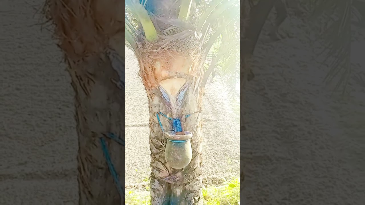 সবাই মিলে ছোট বোনের বাসায় গিয়ে অনেক মজা করলাম 