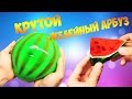 Как сделать крутой желейный арбуз полностью из желе DIY How To Make A Jello Watermelon Как сделать крутой желейный арбуз полностью из желе DIY How To Make A Jello Watermelon
