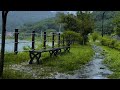 산책길에 내리는 부드러운 빗소리 5분이내에 잠들기 수면 ASMR