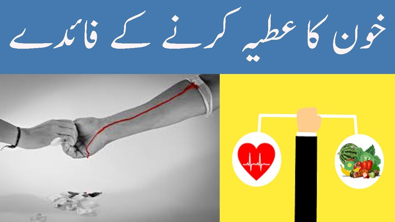Health Benefits Of Donating Blood In Urdu Khoon Ka Atiya Blood Donate health-benefits-of-donating-blood-in-urdu-khoon-ka-atiya-blood-donate