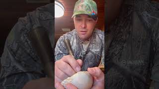 You Won’t Believe What Called This Turkey In