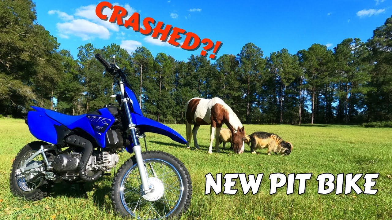 NEW TOY ACQUIRED Pit Bike Jumps Riding YouTube