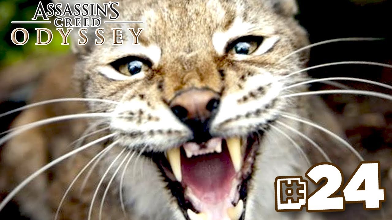 horseshoe bend KITTY GOT MA BACK!!! - Assassin's Creed Odyssey | Part 24 || FULL PLAYTHROUGH (PS4) HD