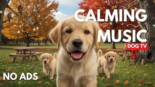 Dog TV for Dogs to Watch 🐕🐶Ultimate Calming Music for Dogs | Deep Separation Anxiety Music | NO ADS