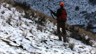 Late Season Chukar Hunting 2015-16 screenshot 5