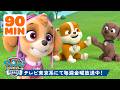パウ・パトロール | パウ・パトロール | スカイ、ズーマ、ラブルたちの90分!最高のなかよしパップたち 🐶 | テレビ東京系にて放送中