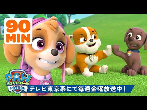 パウ・パトロール | パウ・パトロール | スカイ、ズーマ、ラブルたちの90分！最高のなかよしパップたち 🐶 | テレビ東京系にて放送中