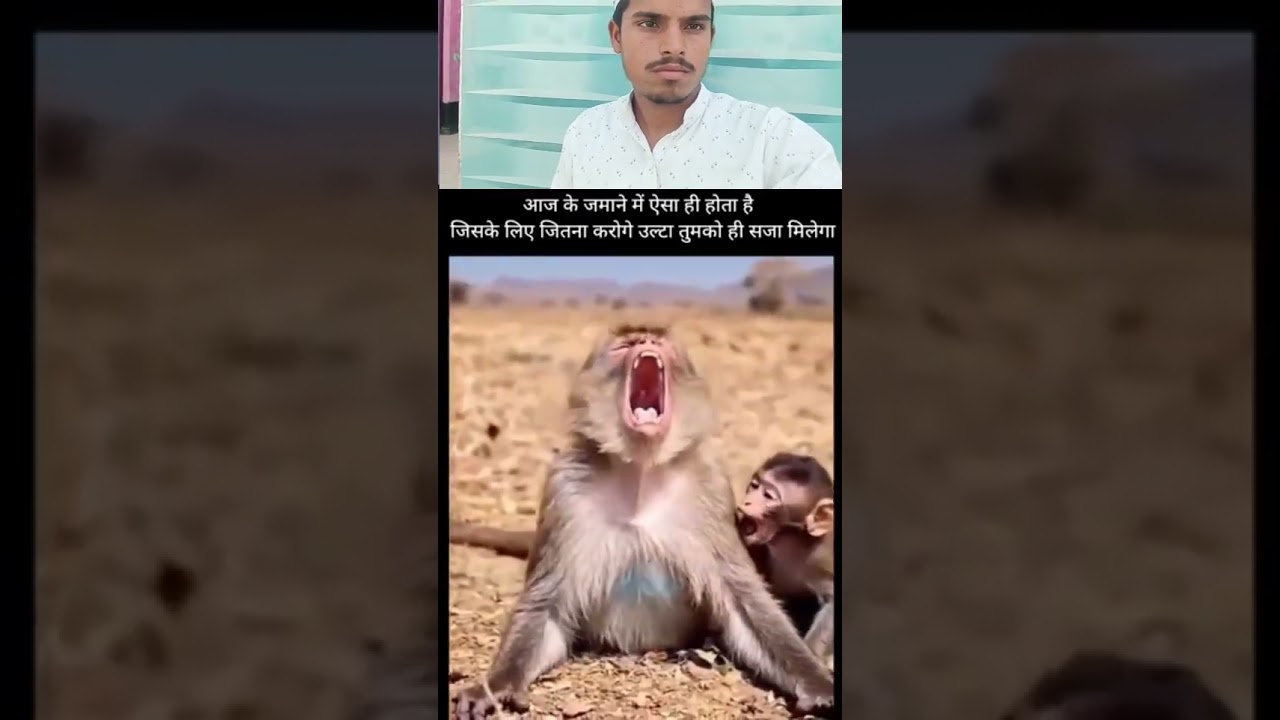 Jaan hajir Hai mustfa ke liye#youtubeshorts #1000subscriber #trendingshorts #viralvideo #shortvideo