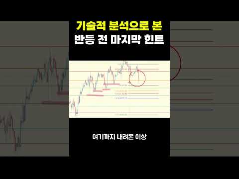 기술적 분석으로 보는 반등전 마지막 힌트 #shorts #비트코인 #선물매매