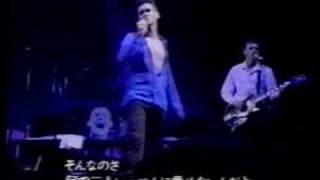 Video thumbnail of "Morrissey - My Love Life (live)"