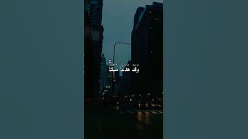 ﴿وَمَا لَنَآ أَلَّا نَتَوَكَّلَ عَلَى ٱللَّهِ  ﴾[سورة إبراهيم]🤍القارئ شريف مصطفى🥺🤍
