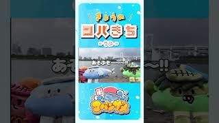 きょうのコバきち ショート動画【うみ】#コバきち #コバきち #わくわく魚っちんぐ #おとこぎコバンザメ #コバンザメ #子供向け #きょうのコバきち #vlog #海