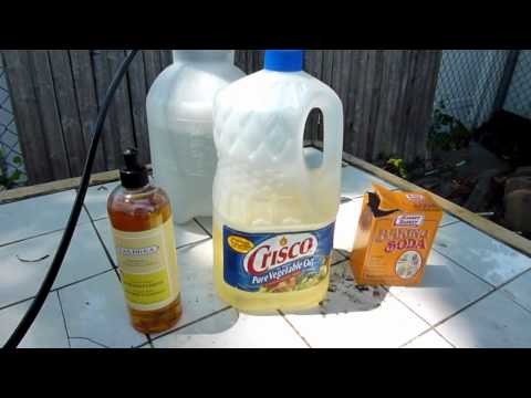 IMPROVED Soapy Water Insecticide Spray: Dawn Dish Soap | Doovi