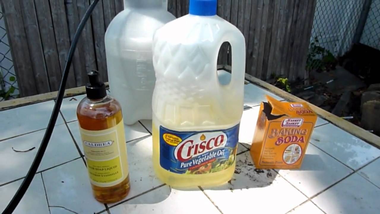 Make Your Own Natural And Organic Pesticide And Fungicide