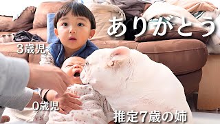 苦手なはずの0歳児と3歳児を優しく見守る愛犬に感動しました