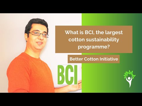 What is Better Cotton Initiative ( BCI )?