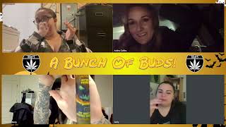 High 5 Presents: A Bunch Of Buds Podcast Episode 19