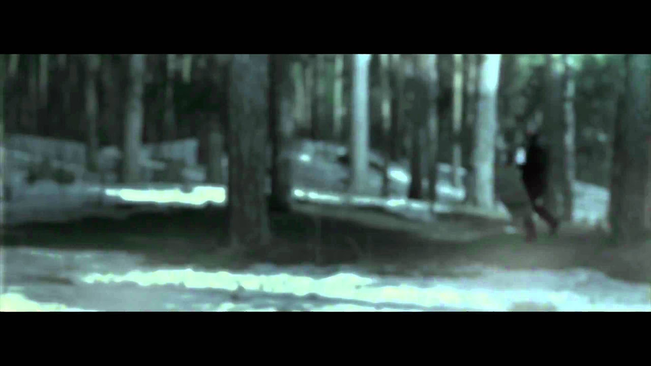 Moonbeam feat. Avis Vox - Hate Is The Killer [Moonbeam Digital]