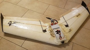 Zephyr II FPV Stupid tree! *crash*