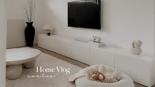 Home Vlog 12 | New ikea besta tv unit, making dumpling soup