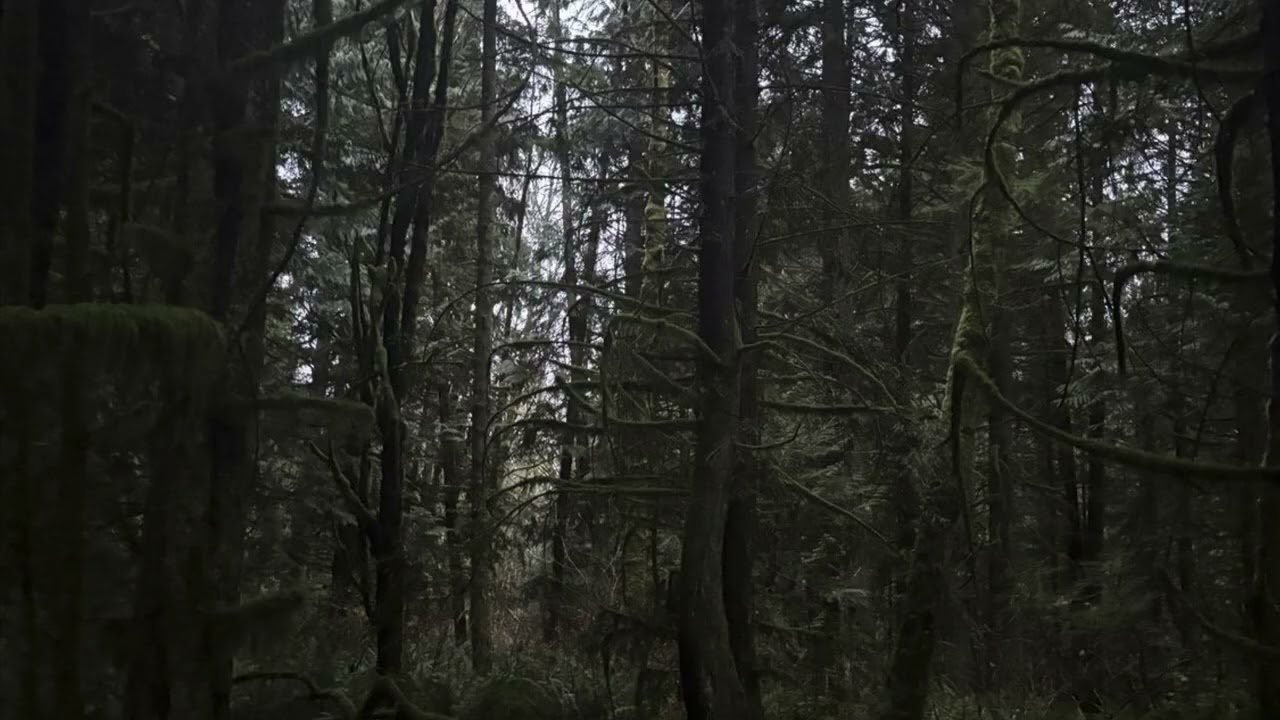 sk8star type beat x destroy lonely type beat “money”