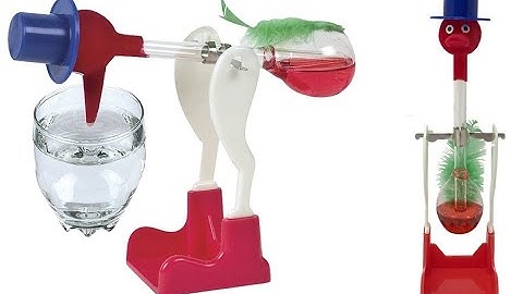 Drinking Bird Set Up Demonstration How It Works Simple set up!