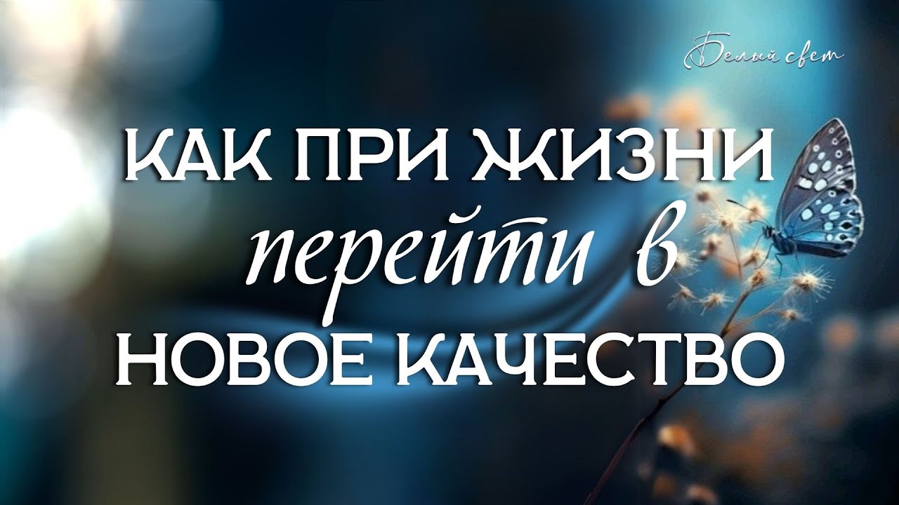 Как при жизни перейти в новое качество #весталия - YouTube