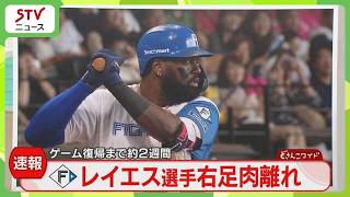 レイエス選手が右足の肉離れ　復帰まで2週間の見通し　北海道日本ハムファイターズ