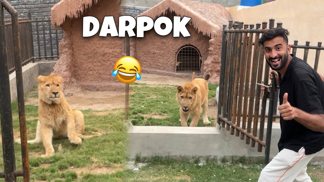 Liger Apny Cage Se Bahir Ni Ara😂