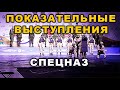 Показательные выступления Спецназ Боевеое САМБО Чемпионат России Брянск