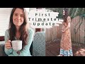 first trimester pregnancy update + bump shot