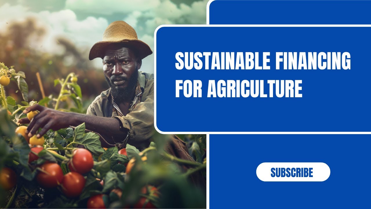 Agribusiness Marketing Strategy | Sustainable Financing for Agriculture | George William Mugenyi
