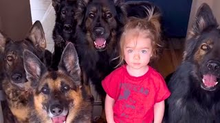 Huge German Shepherds Protect Baby as If It's Their Puppy, You Will Be Surprised To Hear Why