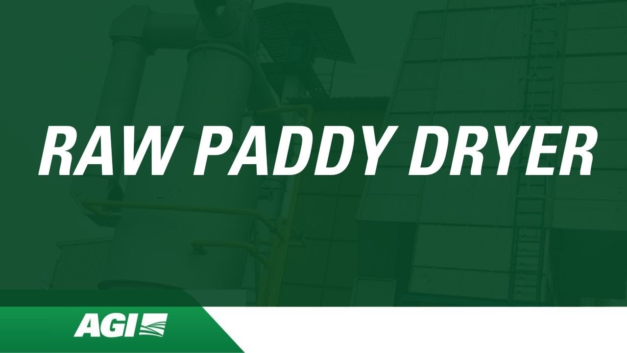 RAW PADDY DRYER