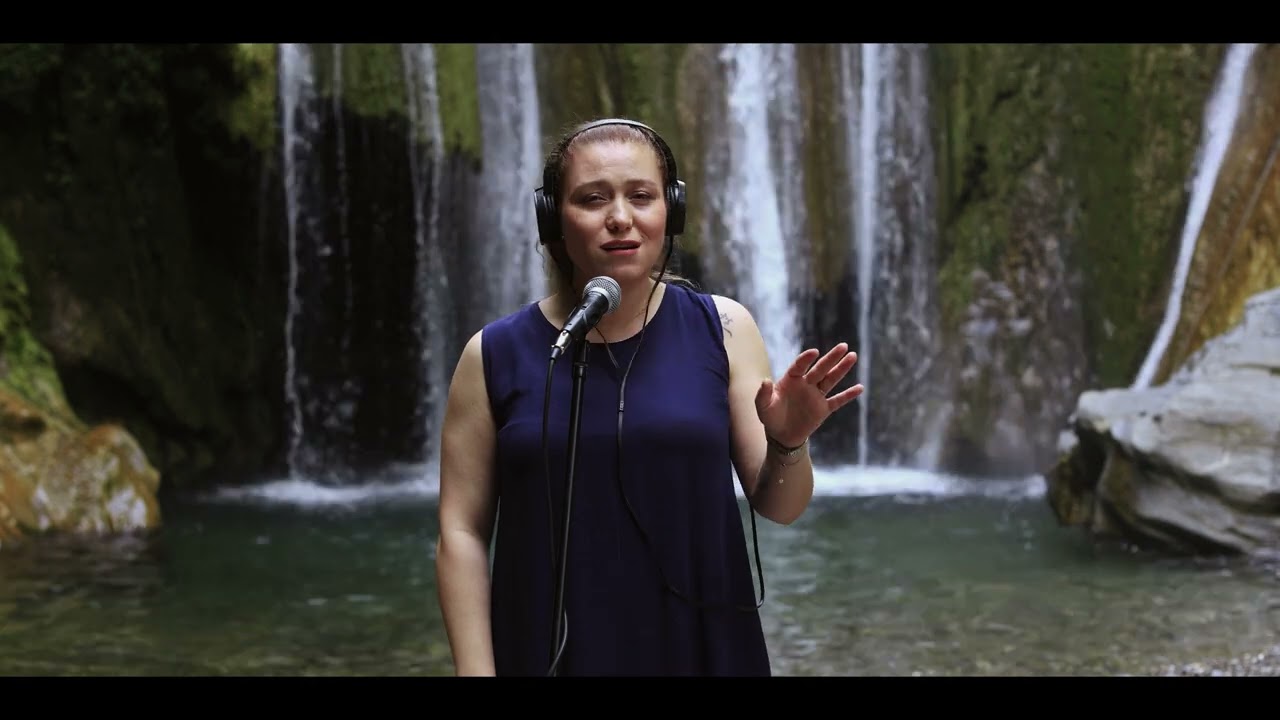 DÜZİÇİ İÇİN ÇAL BİLSEM - YEŞİL BAŞLI GÖVEL ÖRDEK