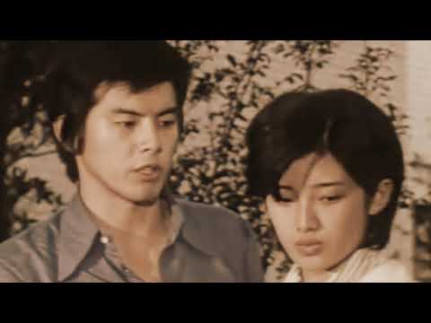 16歲 百惠神話 1975 赤い疑惑 陳麗斯 期望 77版 詞詹惠風 曲都倉俊一 (赤的疑惑)