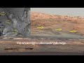 Curiosity's Interesting Future Route Explained I Gale Crater I Mars Mission Exploration