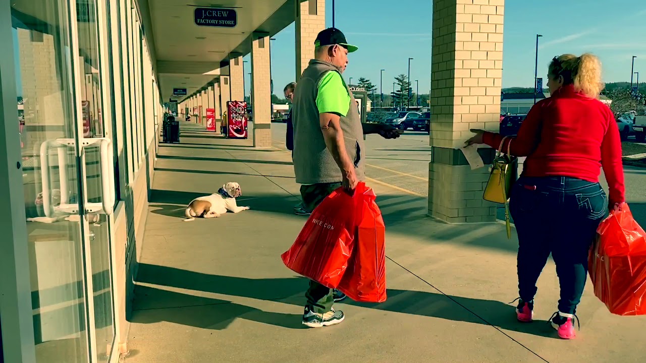 New Hampshire Dog Trainer/ Manchester Dog Trainer/ 1.5 year old