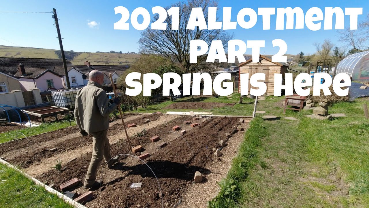 2021 Allotment Part 2 Spring is here | Allotments For Fun and Food