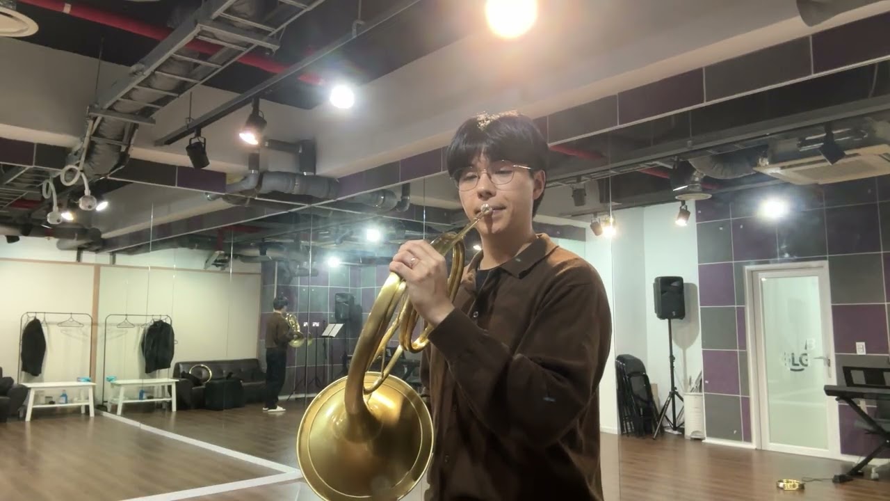 Sinfonia Concertante, K. 297b (Movement II)