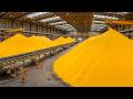 How Nuclear Fuel is Made | From a Deadly Powder to Limitless Energy