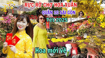 Rực rỡ chợ Hoa Xuân Quận 10 Sài Gòn Tết 2025