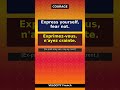 Learn French: Courage - 5 Essential Phrases 🇫🇷